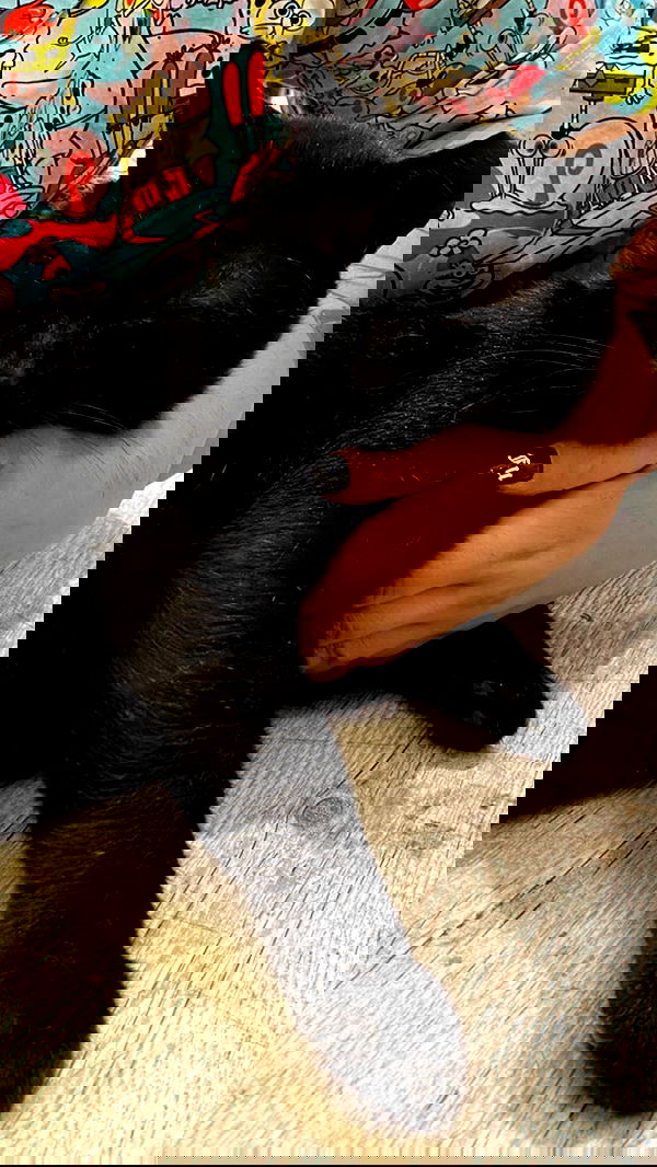 mishel116 mishel116 archive image