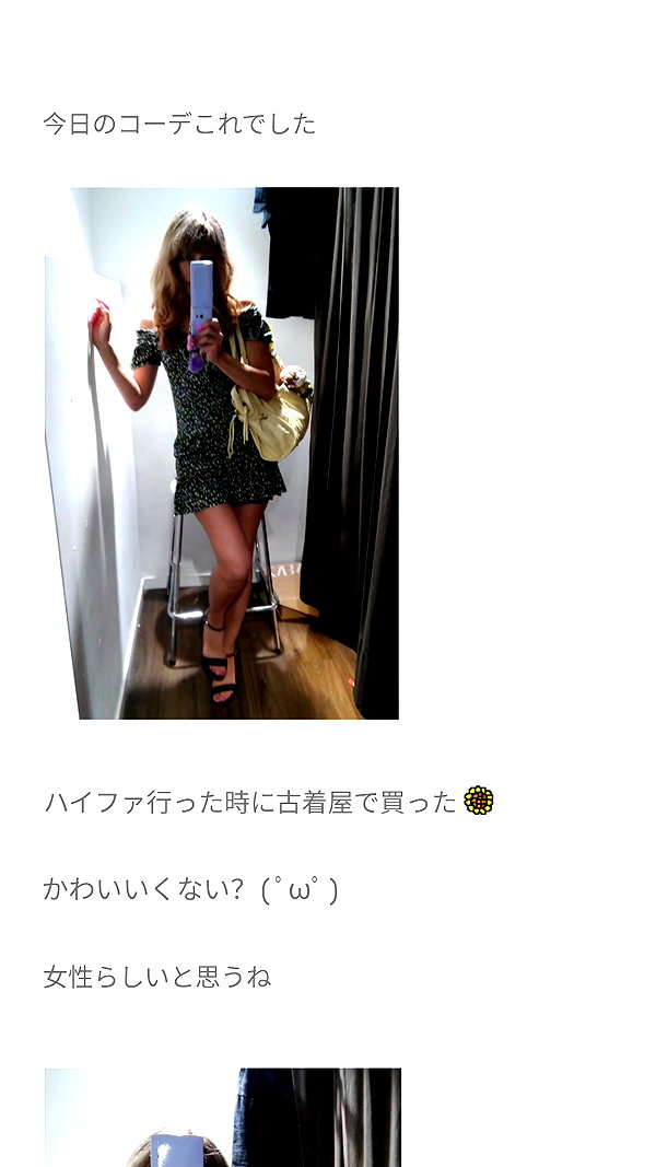 piyokoblog archive image