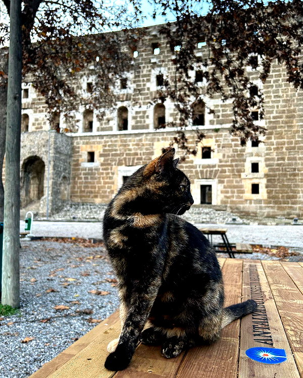 miikheeva_stasiiya instagram image archive image