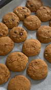 talweisswasser Altpins Profile Picture