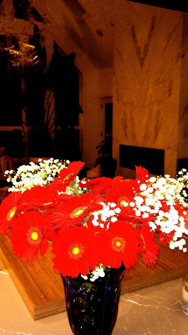 _parismlk _parismlk archive image