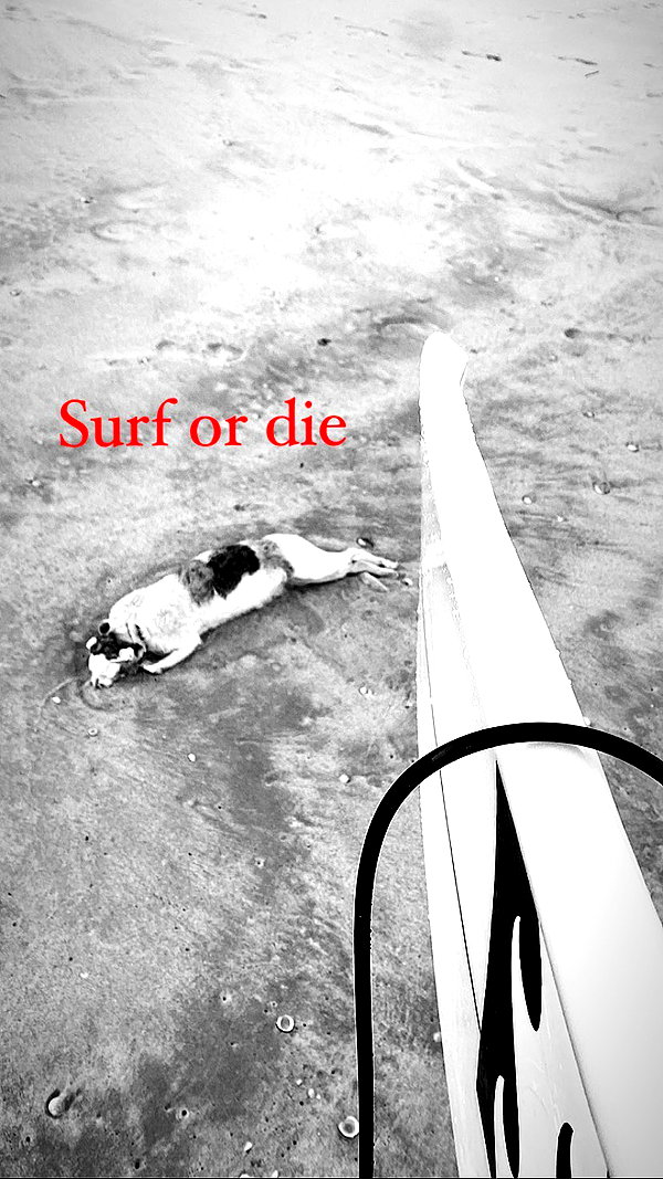 chris_fucking_wild chris_fucking_wild archive image