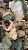 babynympho_archive Altpins Profile Picture