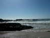 daisy_r_19 Altpins Profile Picture