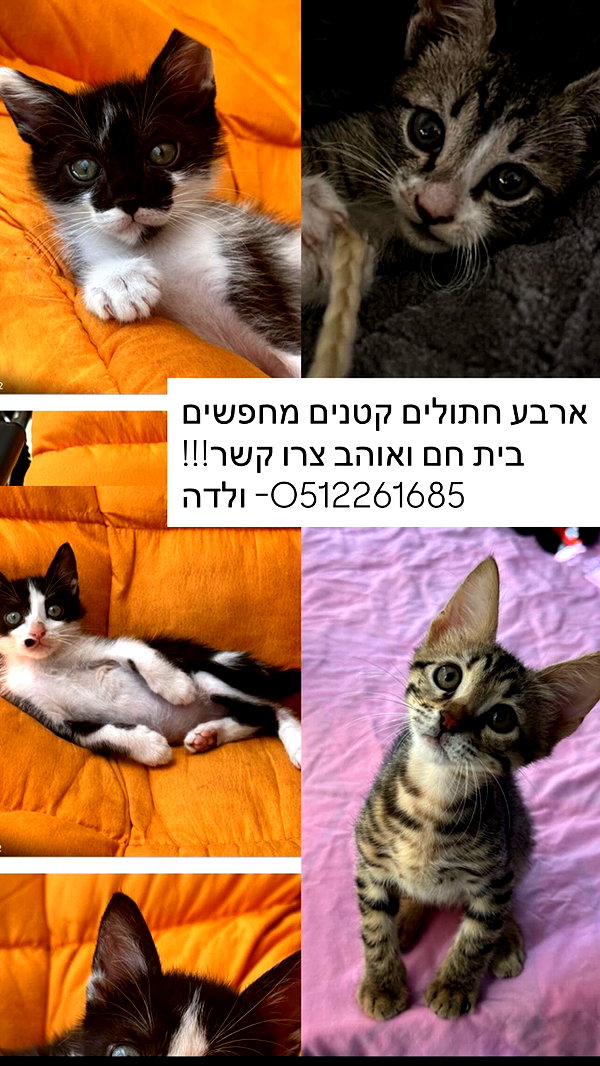 alex.banin alex.banin archive image