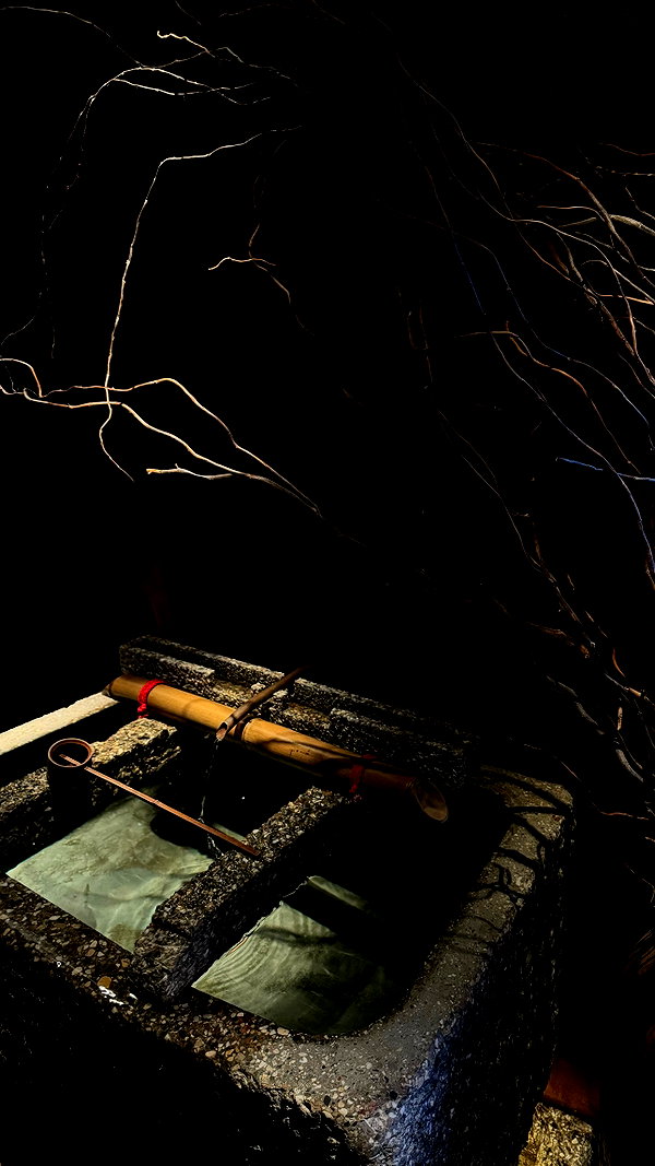vvelum_ archive image