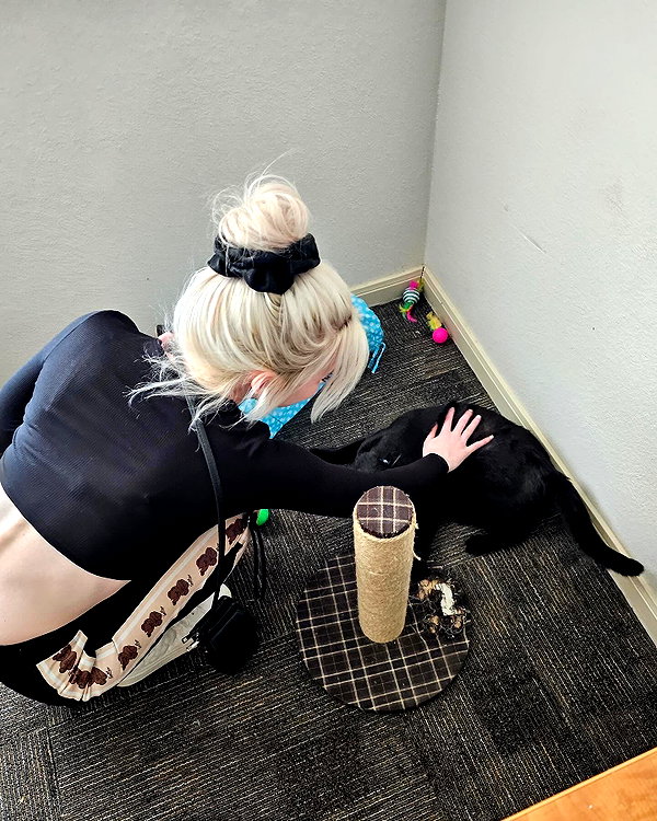 danielle.mercedie instagram image archive image