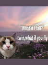 ellaexplicit_ Altpins Profile Picture