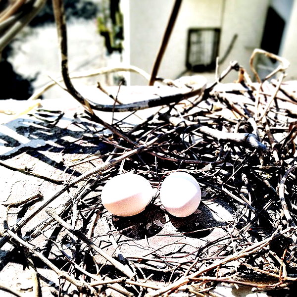 adihimelbloy instagram image archive image