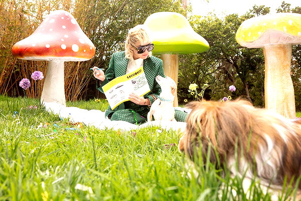 mileycyrus instagram image archive image