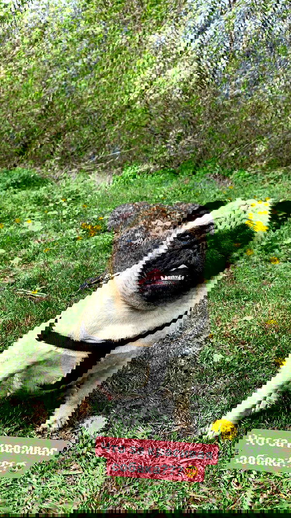 nyityam nyityam archive image