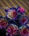 2sugari Altpins Profile Picture