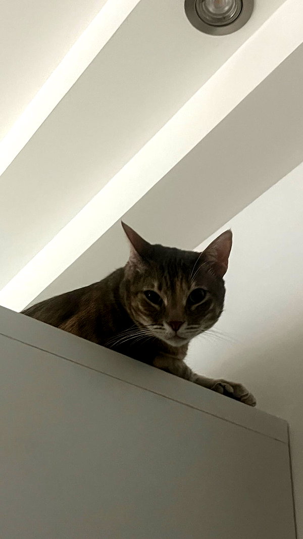 Archived image from @notchicore on Instagram