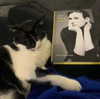 demimoore Altpins Profile Picture