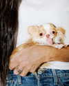 demimoore Altpins Profile Picture