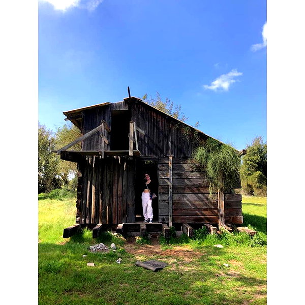 xangeljinx instagram image archive image