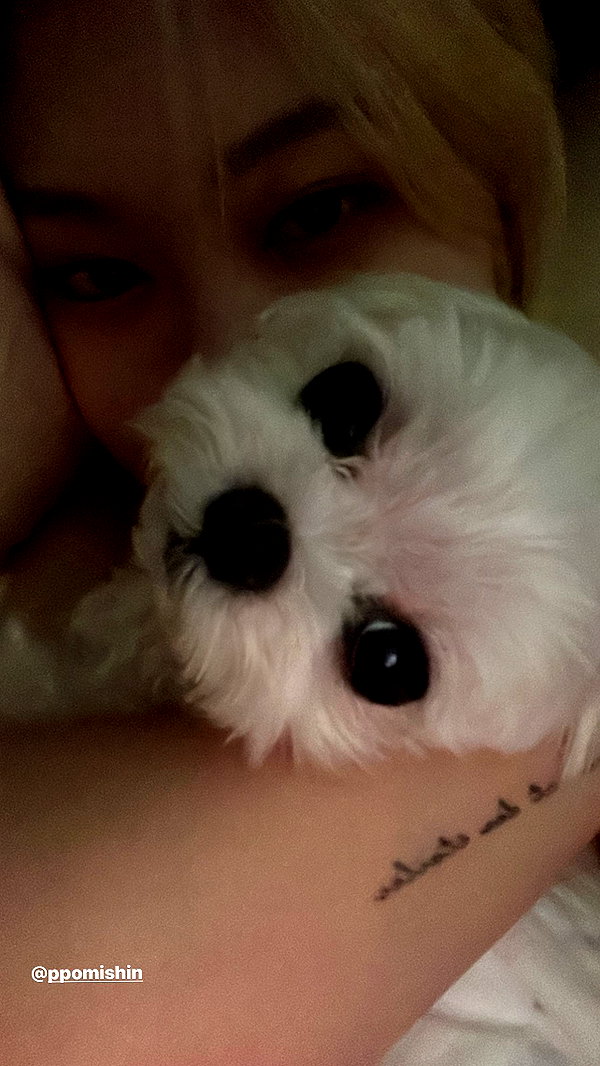 allissashin instagram image archive image