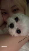 allissashin Altpins Profile Picture