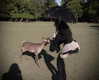 krystallea.cs Altpins Profile Picture