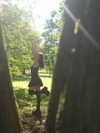 pol_cherie Altpins Profile Picture