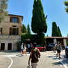 michalcohen___ Altpins Profile Picture