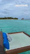 sonia_litvanchuk Altpins Profile Picture