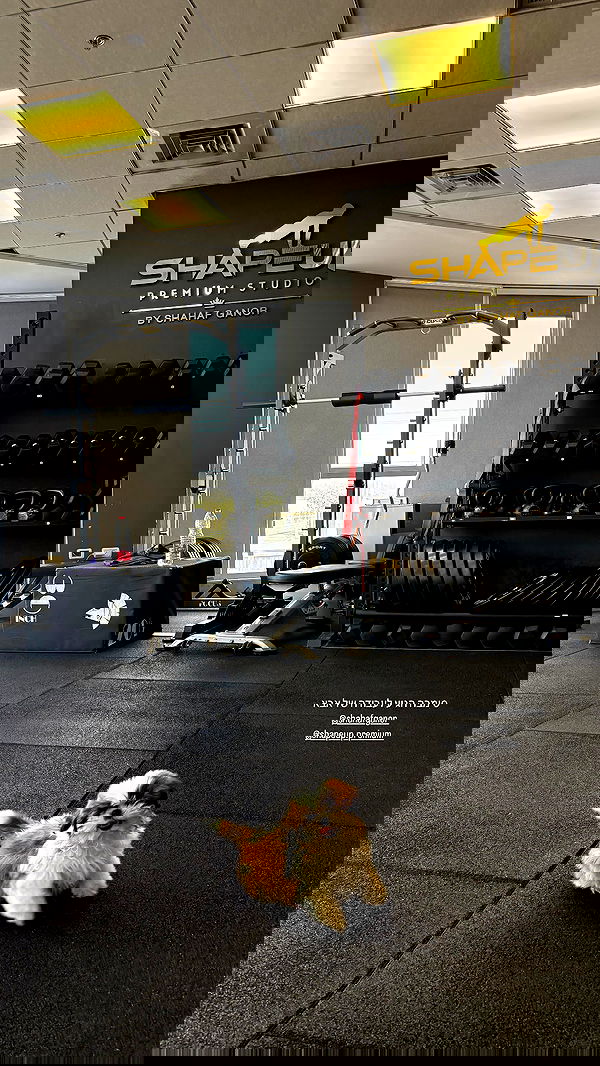 noammalka___ noammalka___ archive image