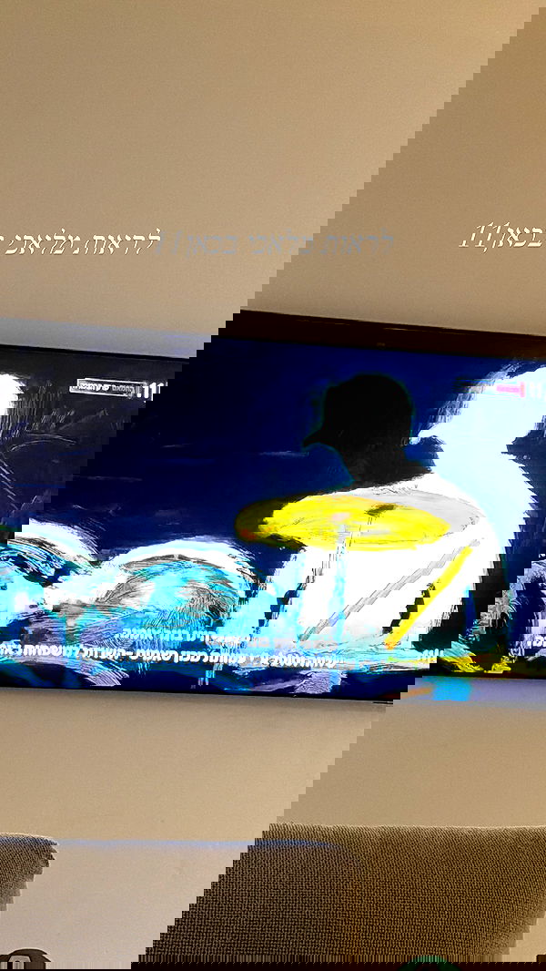 sapir_avisror image ~ Altpins