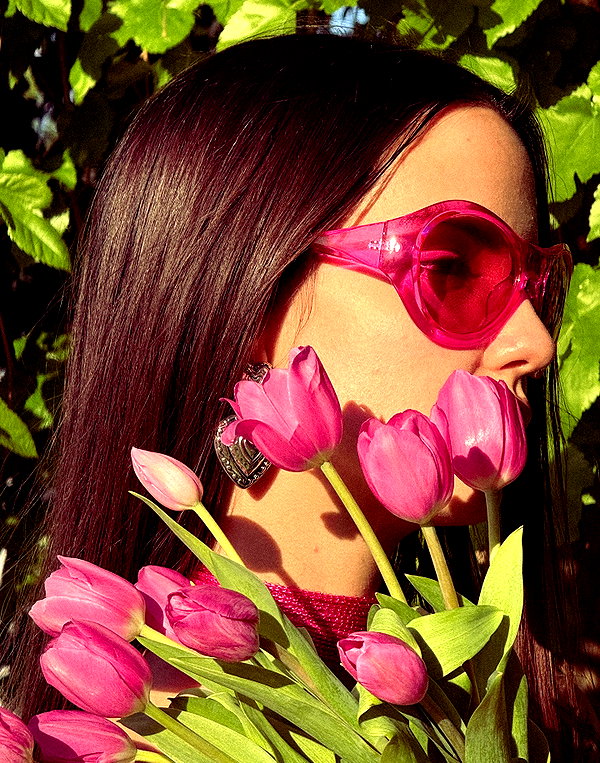 rosessativa rosessativa archive image