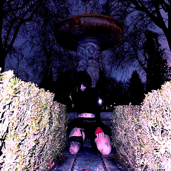 propadauy instagram image archive image