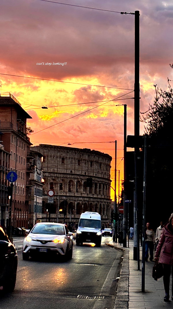 elsgatti instagram image archive image