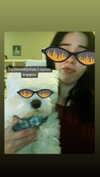 luvstuff3r Altpins Profile Picture