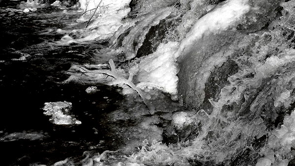 vvelum_ instagram image archive image