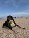 gissell_eli Altpins Profile Picture