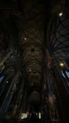alexsndranowak Altpins Profile Picture