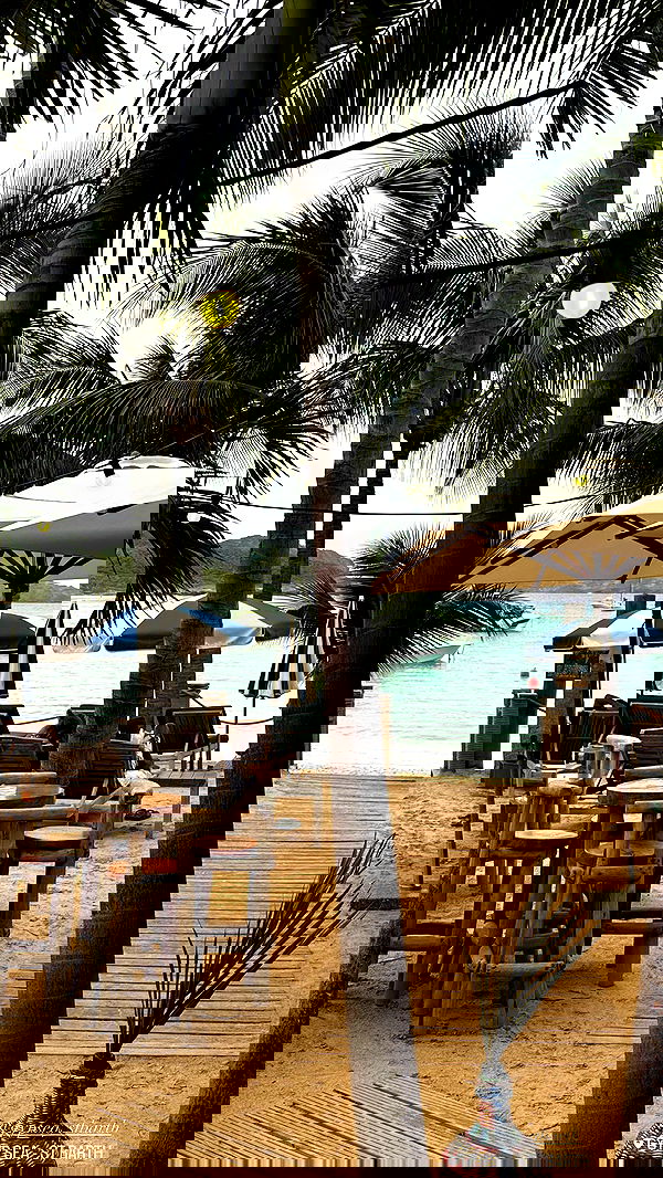 taylor.creeden taylor.creeden archive image