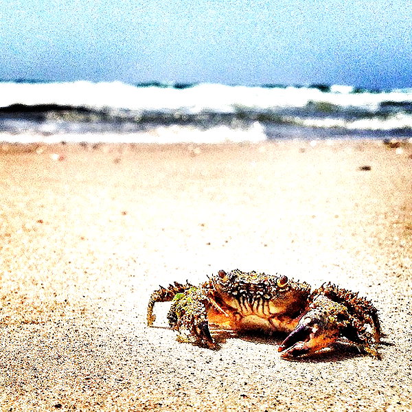 adihimelbloy instagram image archive image