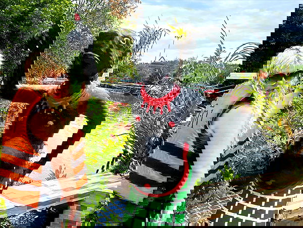 ormosheee ormosheee archive image