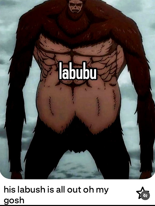 leanbeefpatty instagram image archive image