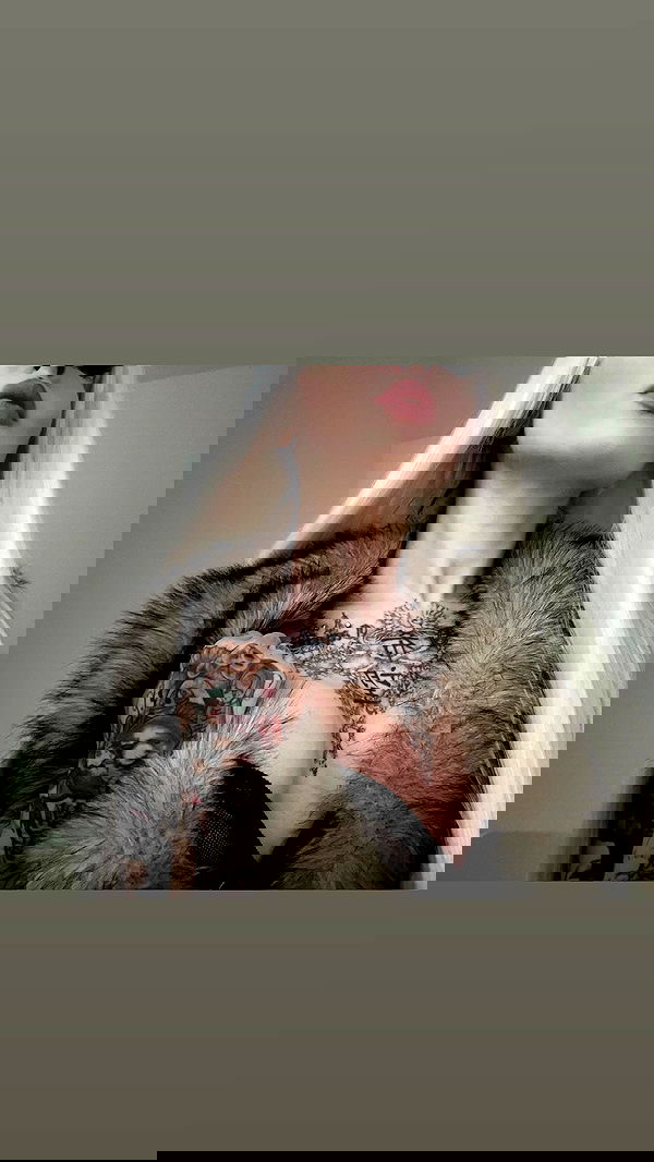 vwnrottie vwnrottie archive image