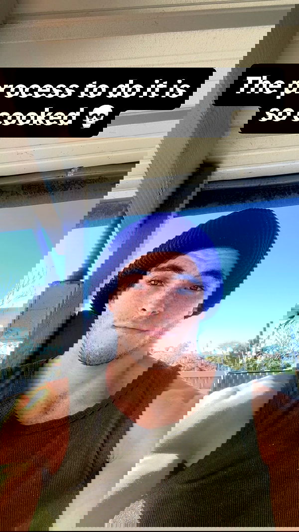 swholeanimal swholeanimal archive image