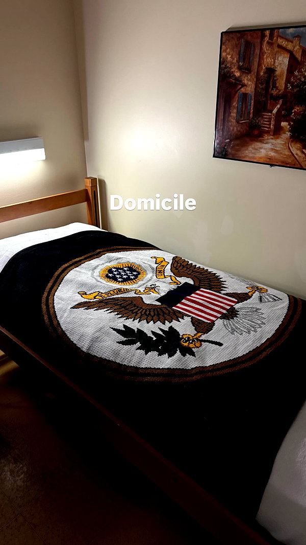haylujan instagram image archive image