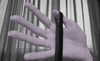 amanitalis Altpins Profile Picture