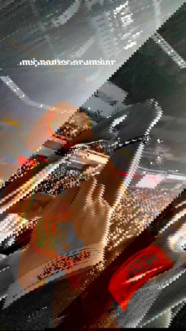 mosssaico mosssaico archive image