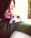 lucyhale Altpins Profile Picture