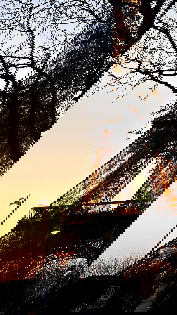 manjolamuriqi manjolamuriqi archive image