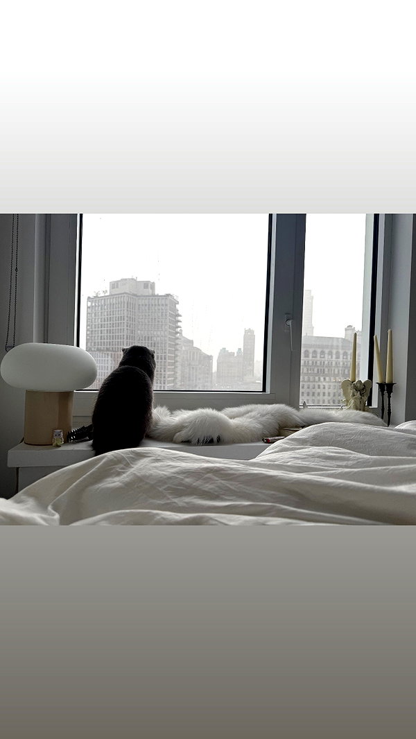 rchhhll instagram image archive image