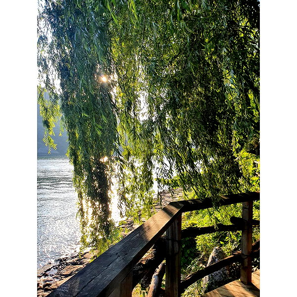 bora__look instagram image archive image