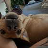 haileylayfield Altpins Profile Picture
