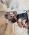 edvarda_ Altpins Profile Picture
